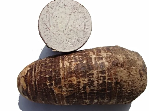 Taro — PANDA PRODUCE, INC.